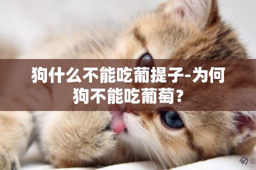 狗什么不能吃葡提子-為何狗不能吃葡萄？