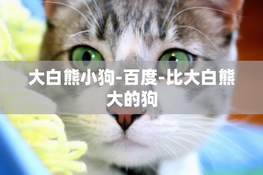 大白熊小狗-百度-比大白熊大的狗