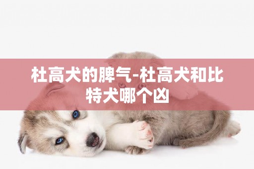 杜高犬的脾氣-杜高犬和比特犬哪個兇