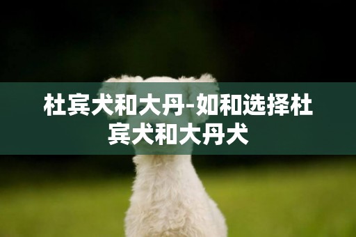 杜賓犬和大丹-如和選擇杜賓犬和大丹犬