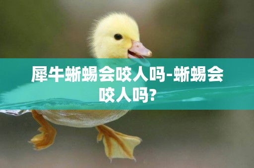 犀牛蜥蜴會咬人嗎-蜥蜴會咬人嗎?