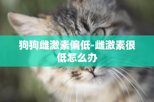 狗狗雌激素偏低-雌激素很低怎么辦