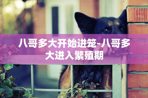 八哥多大開始進籠-八哥多大進入繁殖期