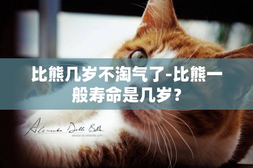 比熊幾歲不淘氣了-比熊一般壽命是幾歲？