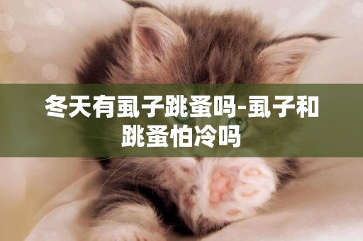 冬天有虱子跳蚤嗎-虱子和跳蚤怕冷嗎