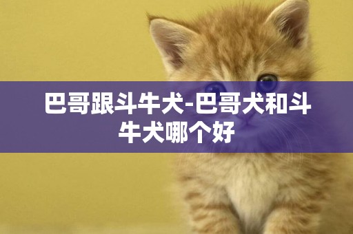巴哥跟斗牛犬-巴哥犬和斗牛犬哪個好