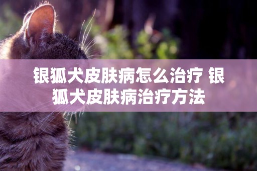 銀狐犬皮膚病怎么治療 銀狐犬皮膚病治療方法