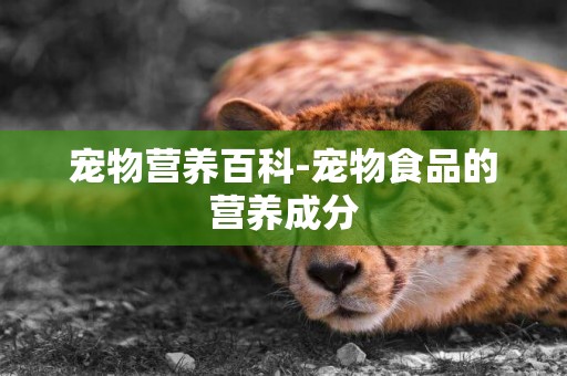 寵物營養百科-寵物食品的營養成分
