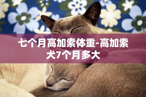 七個月高加索體重-高加索犬7個月多大