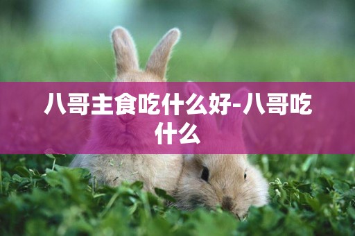 八哥主食吃什么好-八哥吃什么