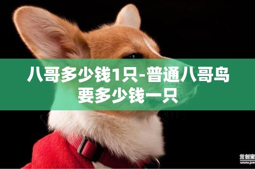八哥多少錢1只-普通八哥鳥要多少錢一只
