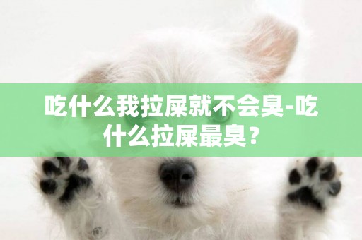吃什么我拉屎就不會臭-吃什么拉屎最臭？