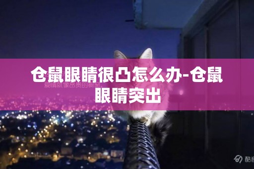 倉鼠眼睛很凸怎么辦-倉鼠眼睛突出
