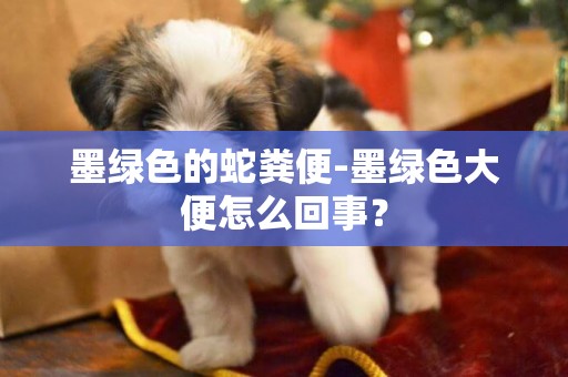 墨綠色的蛇糞便-墨綠色大便怎么回事？