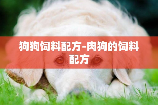 狗狗飼料配方-肉狗的飼料配方