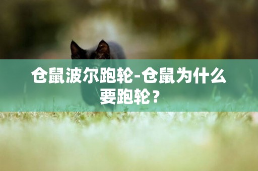 倉鼠波爾跑輪-倉鼠為什么要跑輪？