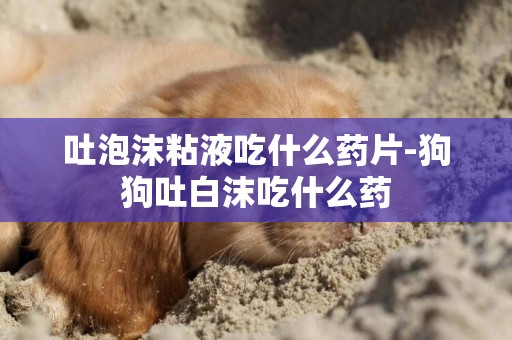 吐泡沫粘液吃什么藥片-狗狗吐白沫吃什么藥