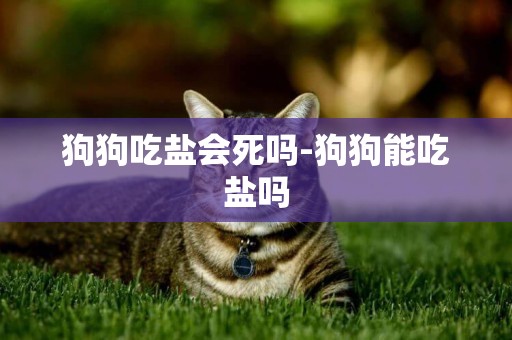狗狗吃鹽會死嗎-狗狗能吃鹽嗎