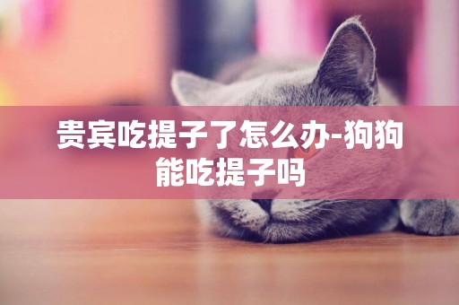 貴賓吃提子了怎么辦-狗狗能吃提子嗎