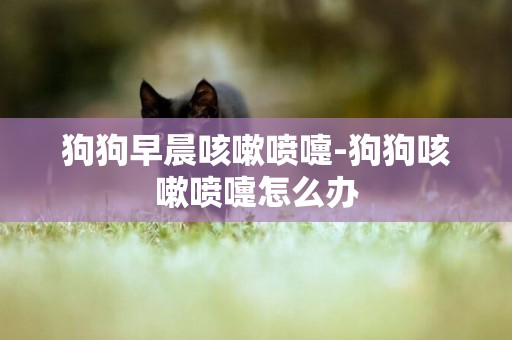 狗狗早晨咳嗽噴嚏-狗狗咳嗽噴嚏怎么辦