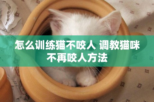 怎么訓練貓不咬人 調教貓咪不再咬人方法
