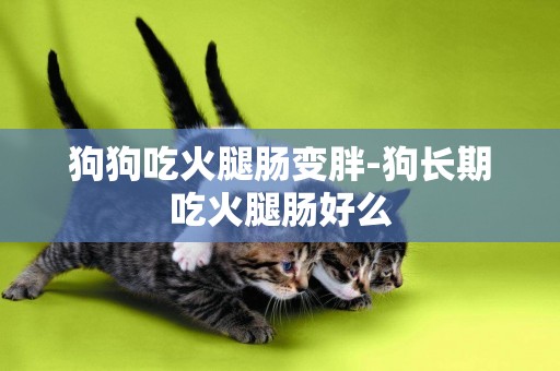 狗狗吃火腿腸變胖-狗長期吃火腿腸好么