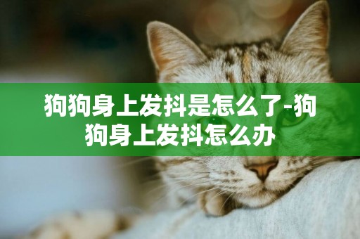 狗狗身上發抖是怎么了-狗狗身上發抖怎么辦