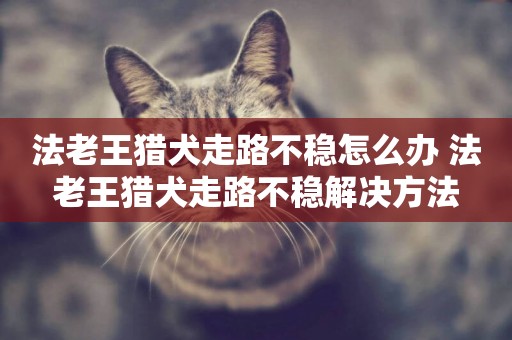 法老王獵犬走路不穩怎么辦 法老王獵犬走路不穩解決方法