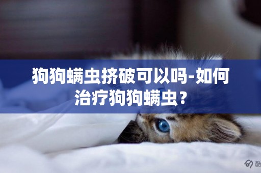 狗狗螨蟲擠破可以嗎-如何治療狗狗螨蟲？