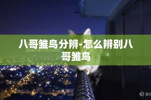 八哥雛鳥分辨-怎么辨別八哥雛鳥