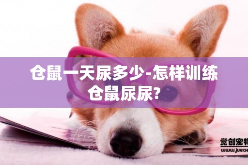 倉鼠一天尿多少-怎樣訓練倉鼠尿尿?