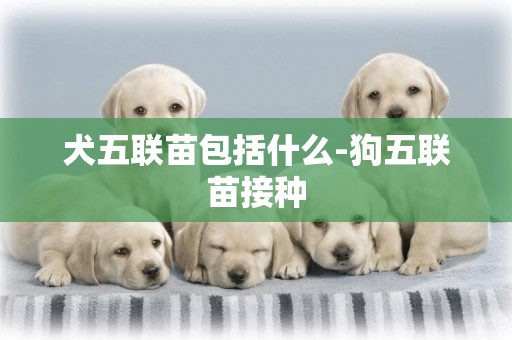 犬五聯苗包括什么-狗五聯苗接種