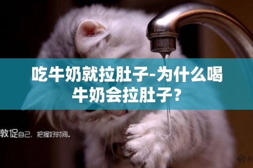 吃牛奶就拉肚子-為什么喝牛奶會拉肚子？