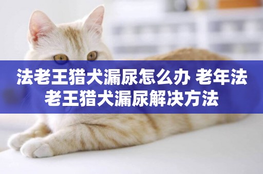 法老王獵犬漏尿怎么辦 老年法老王獵犬漏尿解決方法