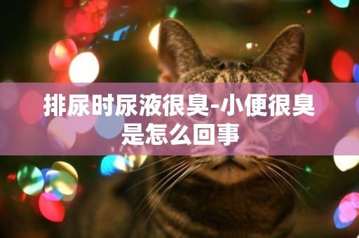 排尿時尿液很臭-小便很臭是怎么回事