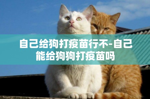 自己給狗打疫苗行不-自己能給狗狗打疫苗嗎