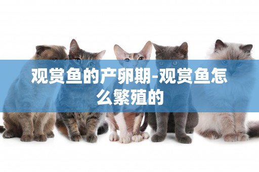 觀賞魚的產卵期-觀賞魚怎么繁殖的