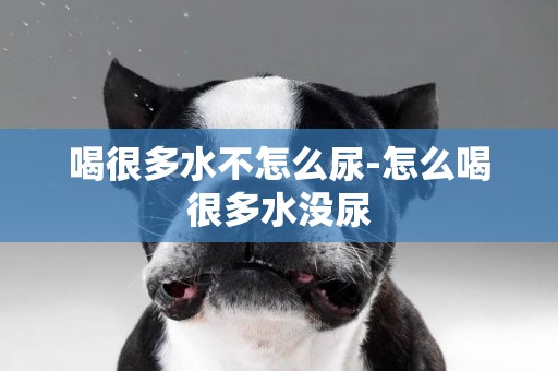 喝很多水不怎么尿-怎么喝很多水沒尿