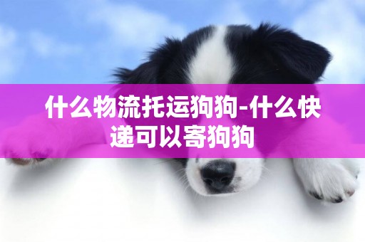 什么物流托運狗狗-什么快遞可以寄狗狗