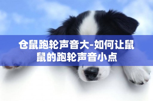 倉鼠跑輪聲音大-如何讓鼠鼠的跑輪聲音小點