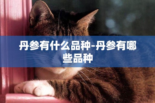 丹參有什么品種-丹參有哪些品種