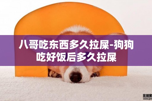 八哥吃東西多久拉屎-狗狗吃好飯后多久拉屎