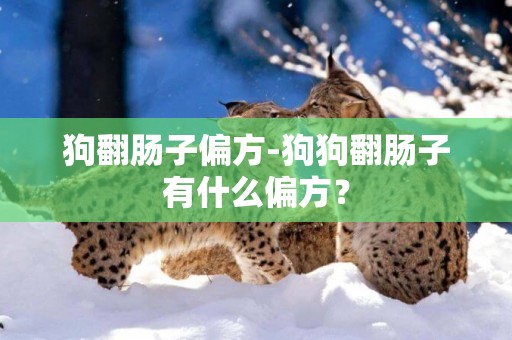 狗翻腸子偏方-狗狗翻腸子有什么偏方？
