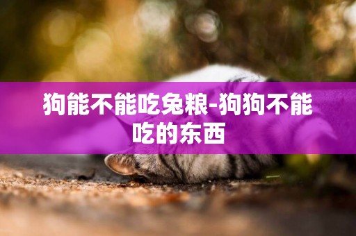 狗能不能吃兔糧-狗狗不能吃的東西