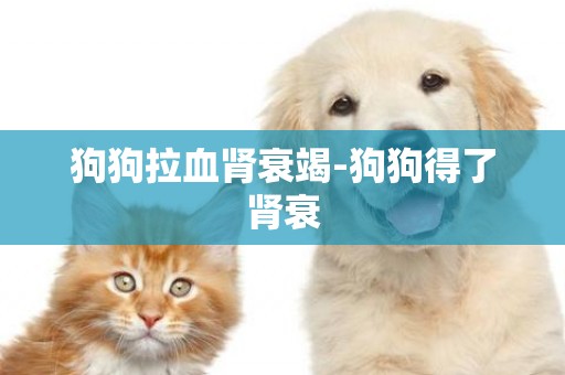 狗狗拉血腎衰竭-狗狗得了腎衰