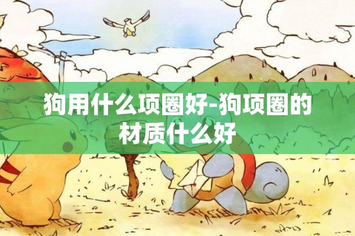 狗用什么項圈好-狗項圈的材質什么好