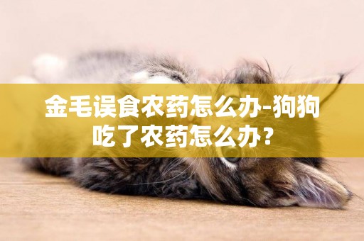 金毛誤食農藥怎么辦-狗狗吃了農藥怎么辦？