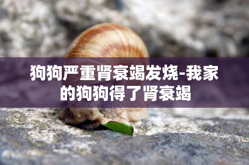 狗狗嚴重腎衰竭發燒-我家的狗狗得了腎衰竭