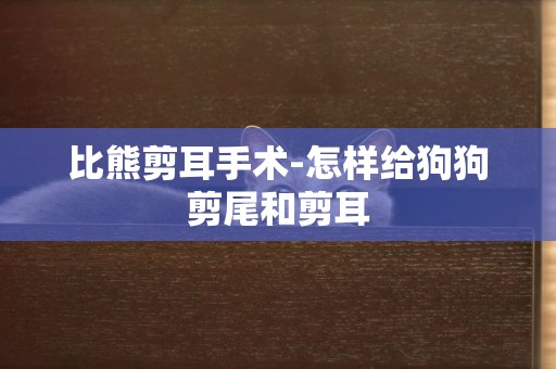 比熊剪耳手術-怎樣給狗狗剪尾和剪耳