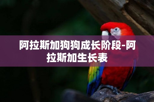 阿拉斯加狗狗成長階段-阿拉斯加生長表